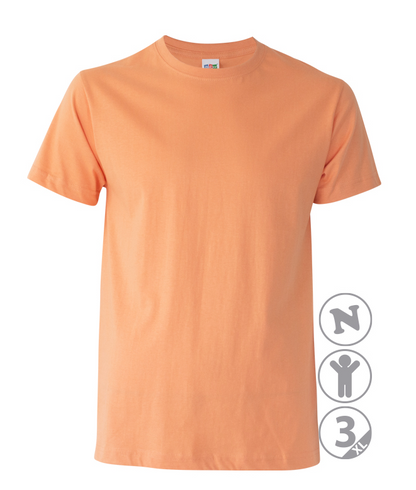 Camiseta PREMIUM – Personalizable con DTF