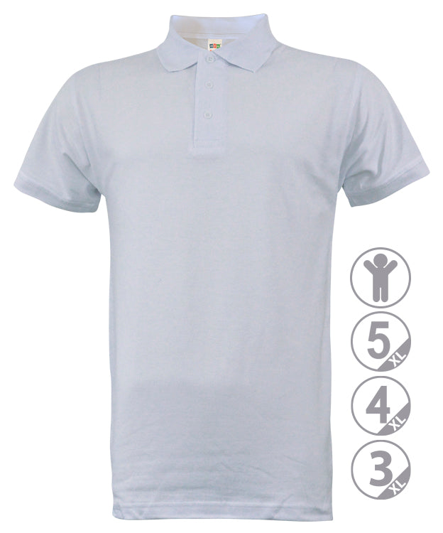 Polo MASTER