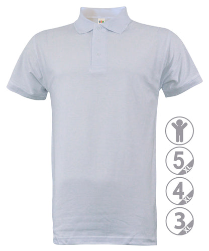 Polo MASTER