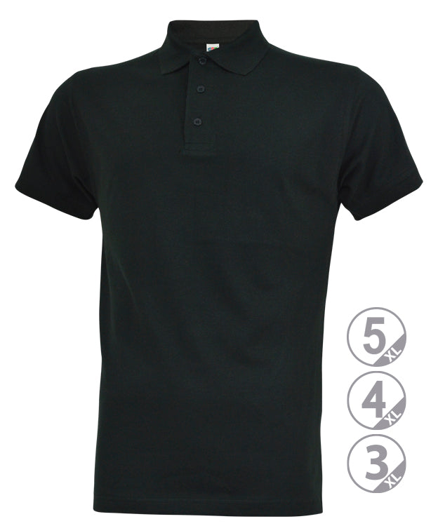 Polo MASTER
