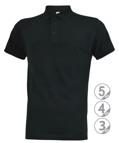 Polo MASTER